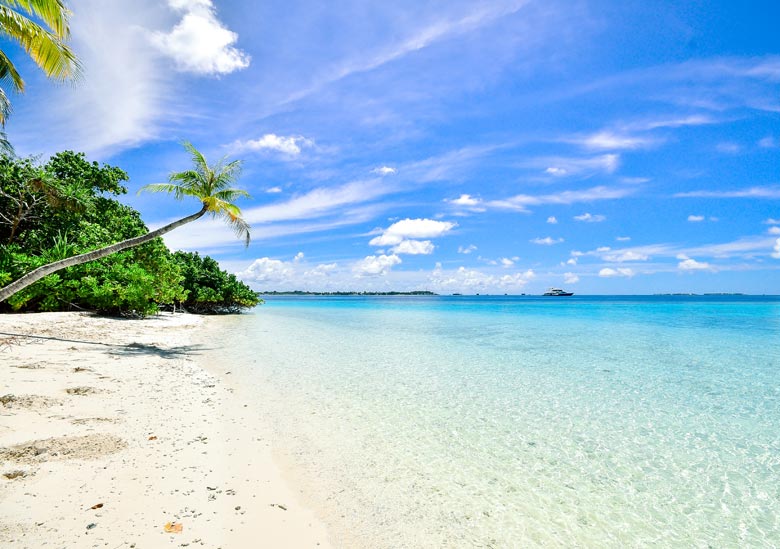 Goa Delight Tour